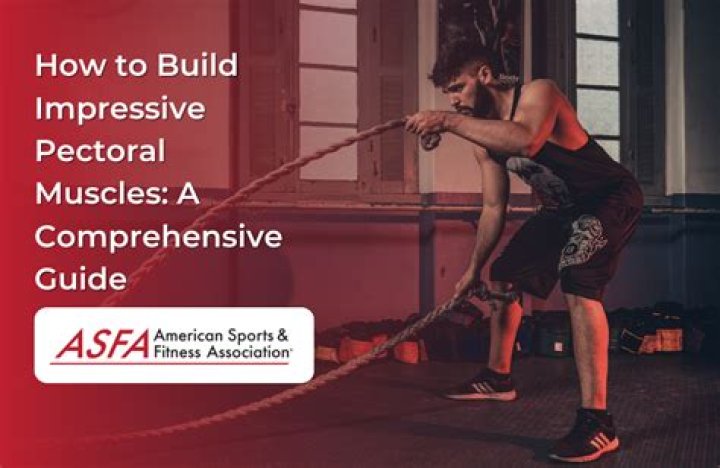 A Comprehensive Guide To His Impressive Physique