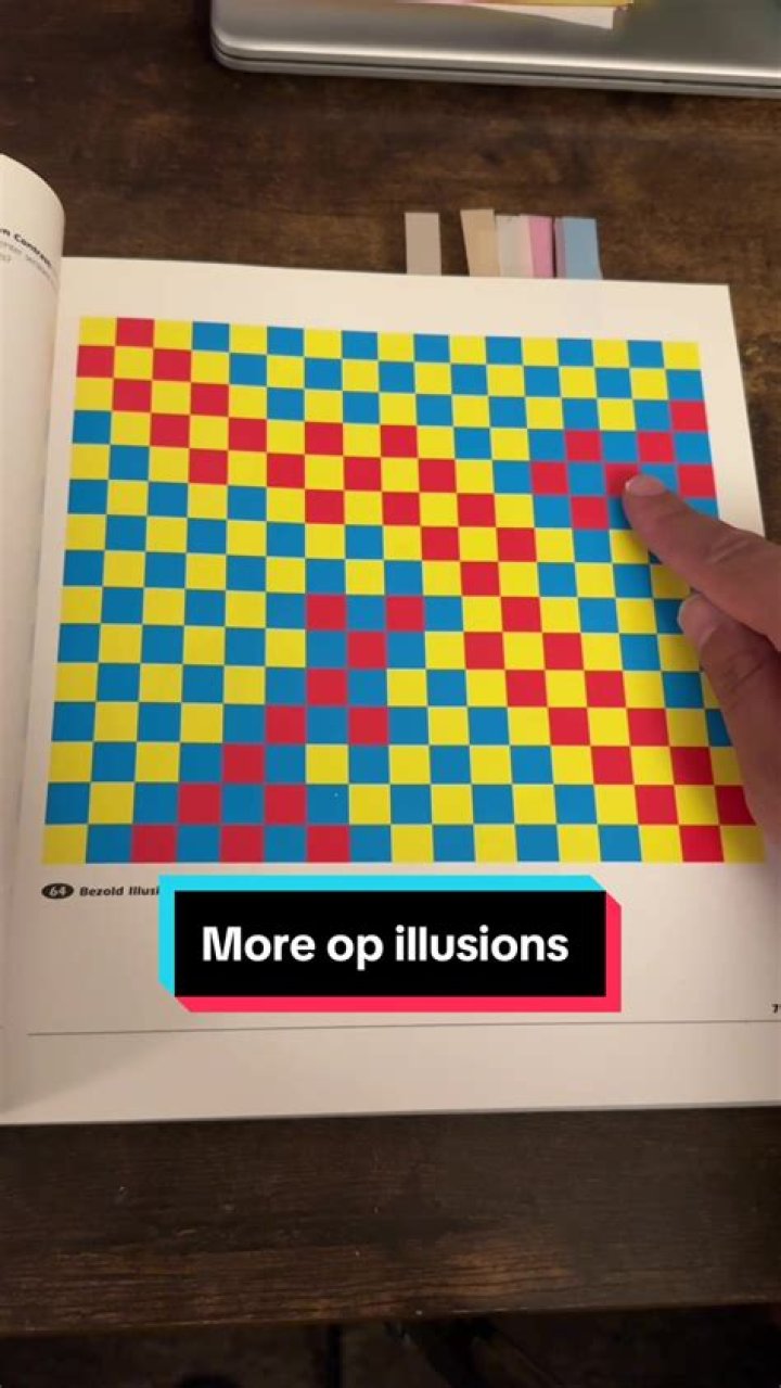 A Journey Into Optical Illusions