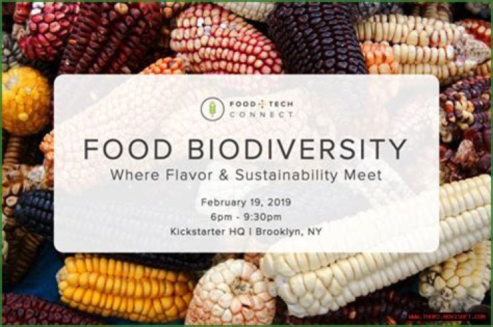 A Journey Of Health, Flavor, And Sustainability