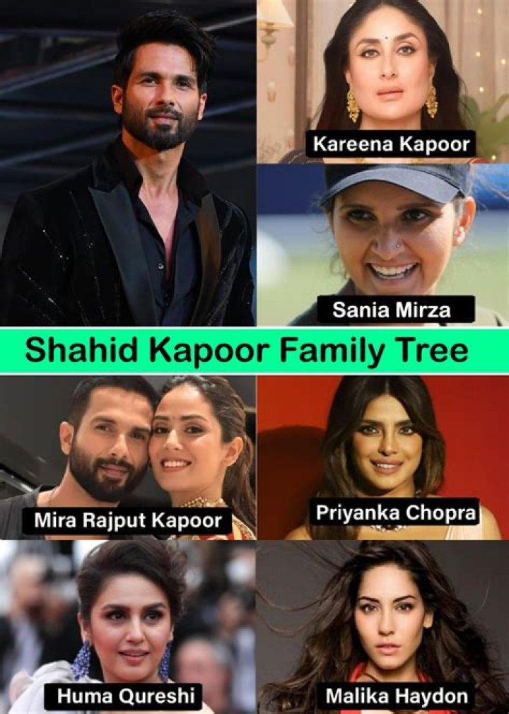 A Journey Through Shahid Kapoor's Relationships
