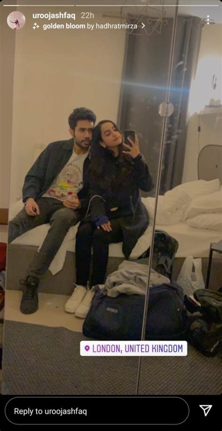 Abhishek Upmanyu And Urooj Ashfaq's Breakup: The Inside Story