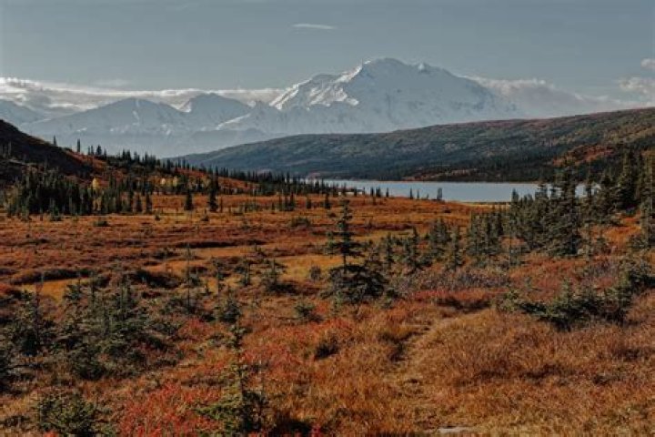 Alaskan Wilderness, Tradition, And Conservation Revealed