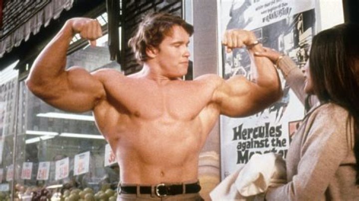 Arnold Schwarzenegger 'mistress' denies causing marriage breakup