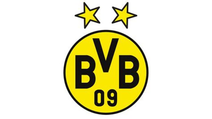 Borussia Dortmund 'eyeing a swoop for Jude Bellingham's 16yearold