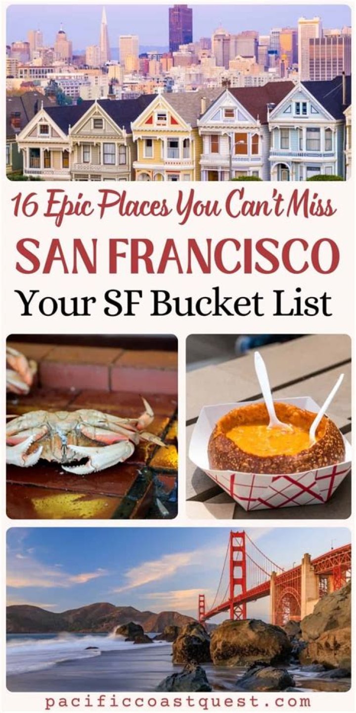 Discover The Best Of "sf Fun And Cheap Today"