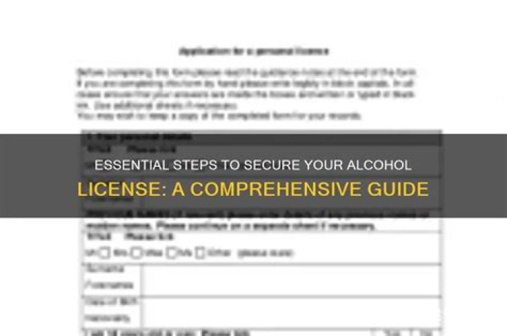 Discover The Essential Location For Your License Number: A Comprehensive Guide