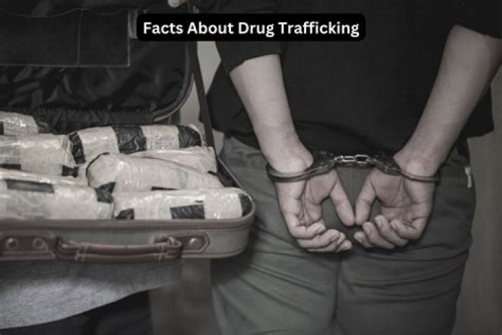 Discoveries And Insights For Combating Drug Trafficking