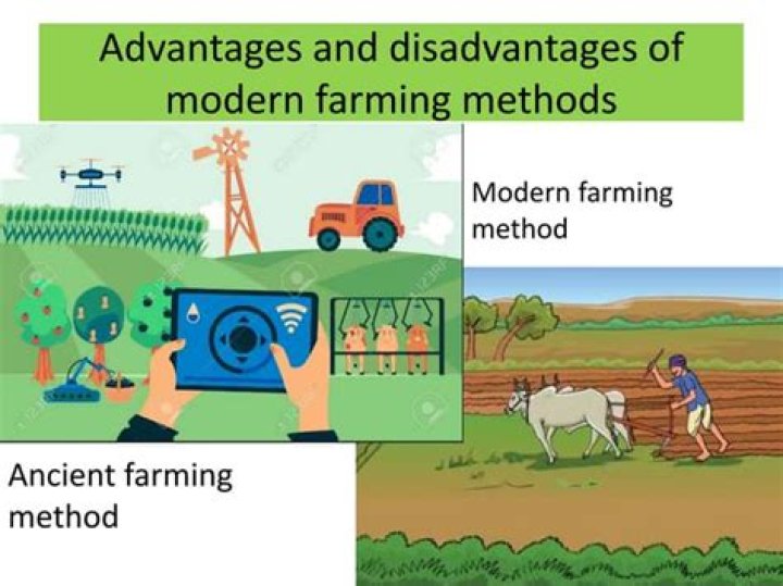 Discoveries And Insights For The Modern Farmer