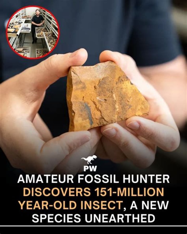 Discoveries And Insights For The Seasoned "afphila4" Enthusiast