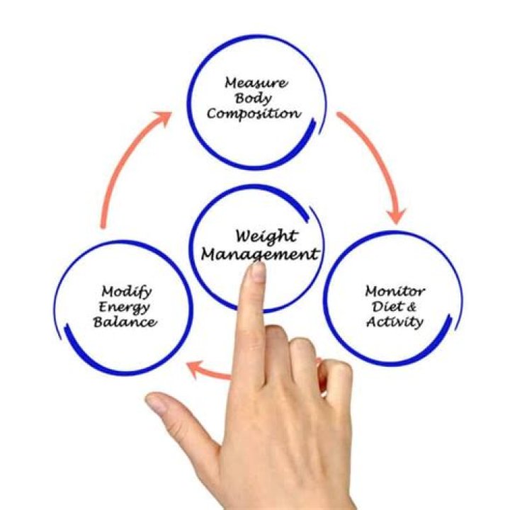 Discoveries And Insights For Weight Management