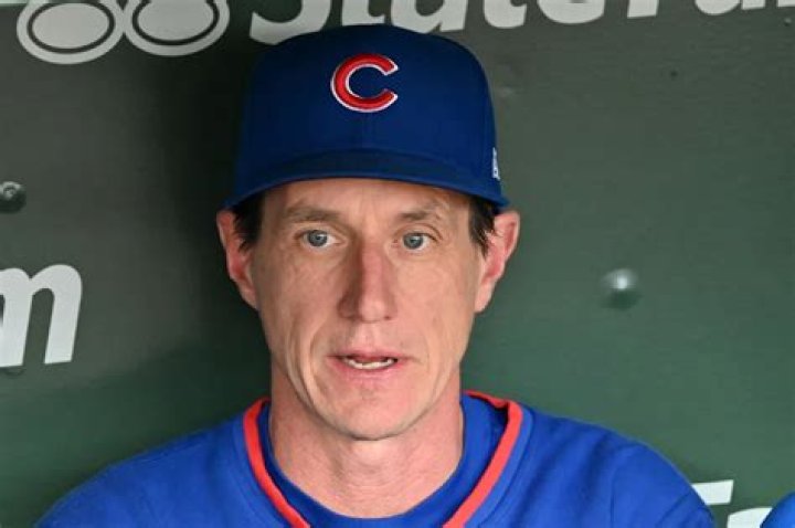 Discoveries And Insights From Cubs Reporters