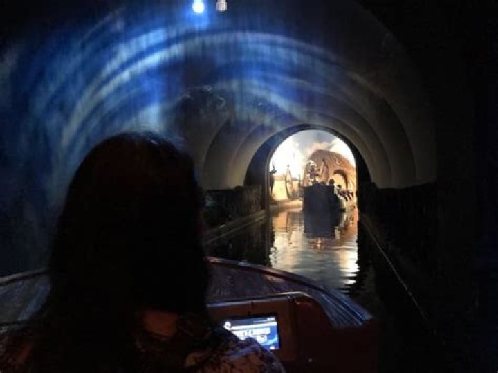 Discoveries And Insights From The Museum