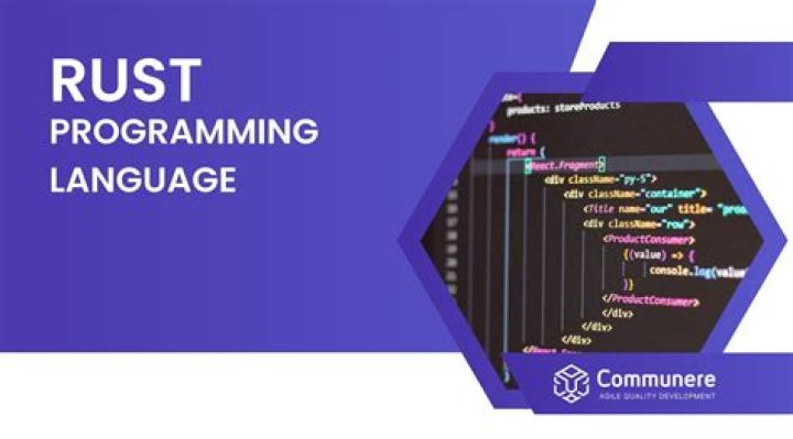 Discoveries And Insights In Rust Programming And Diversity