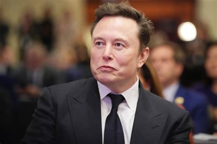Discoveries And Insights Into Elon's Sibling Superstars