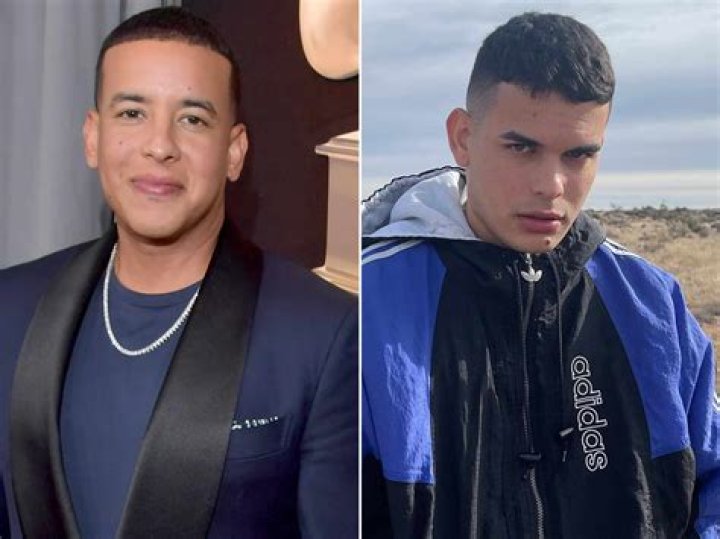 Discoveries And Insights On "Daddy Yankee Son"