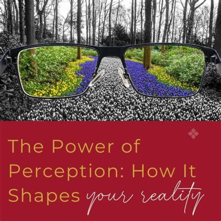 Discoveries And Insights That Will Transform Your Perception