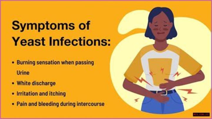 Do Bidets Really Cause Yeast Infections? The Truth Revealed