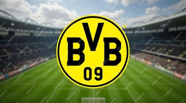 Dortmund's Jude Bellingham faces racial abuse on Instagram Daily Sabah