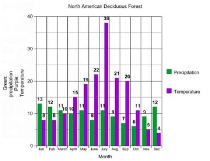 Estimating Average Precipitation In Temperate Deciduous Forests