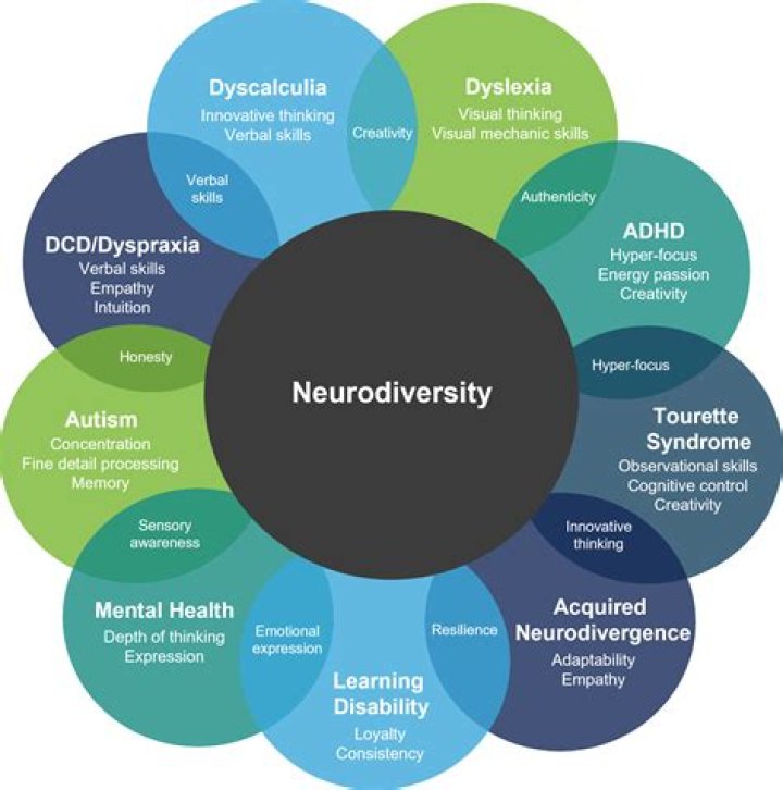 Exploring The Neurodiversity Of Reacher