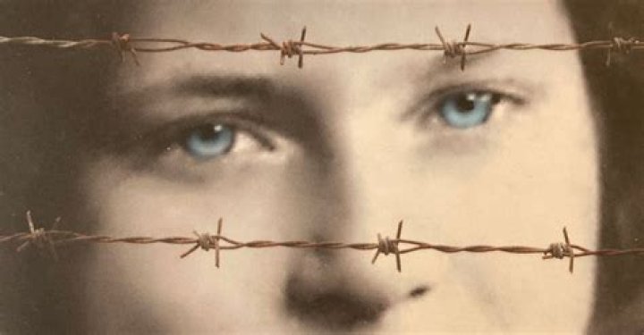 From Holocaust Survivor To Activist