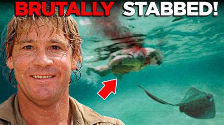 How did Steve Irwin die? Here is the untold story of The Crocodile