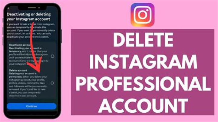 How To Delete Professional Account On Instagram For Enhanced Growth