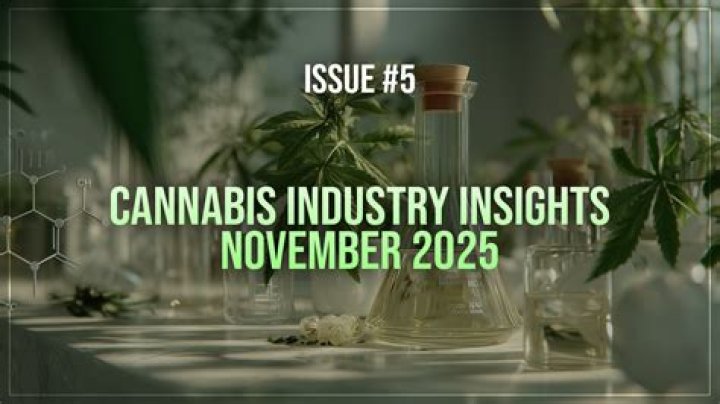 Insights And Discoveries For The Cannabis Industry