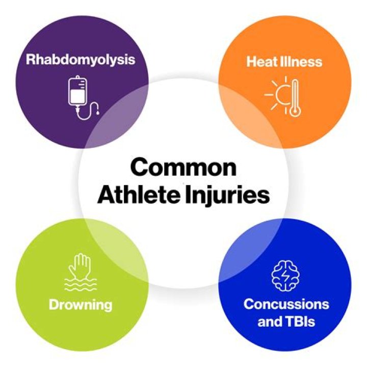 Insights For Athletes And Educators