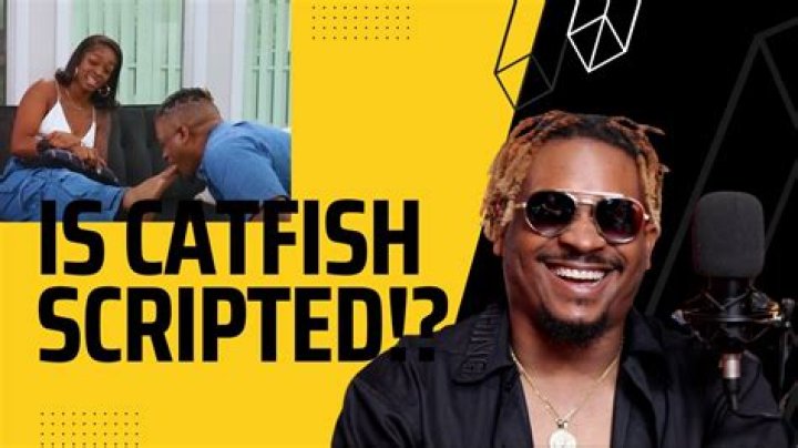Is Catfish Scripted? Is Catfish Fake or Real?
