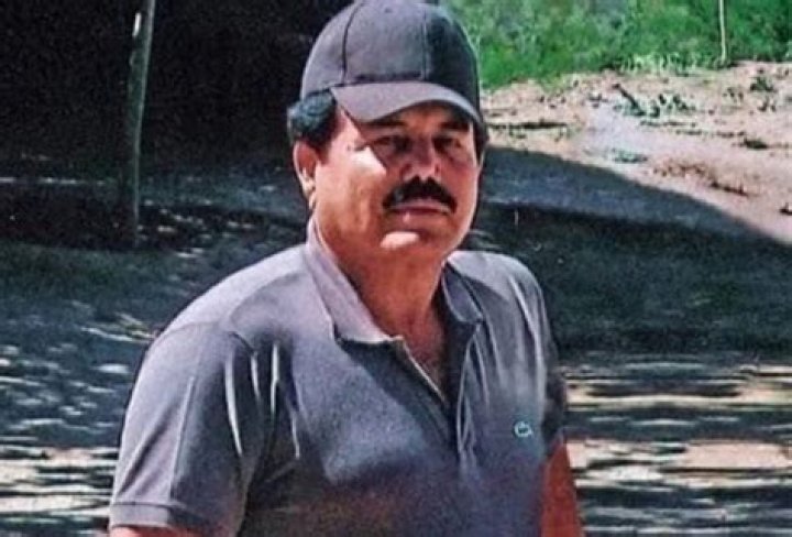 Ismael El Mayo Zambada Net Worth And Associate Drug Lords by Samuel