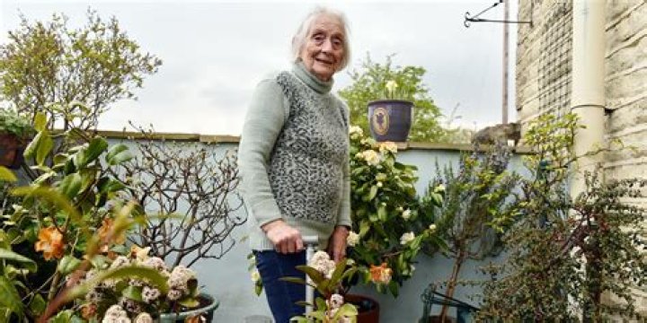Jenny Howarth Retired Old ham Careers Office LinkedIn