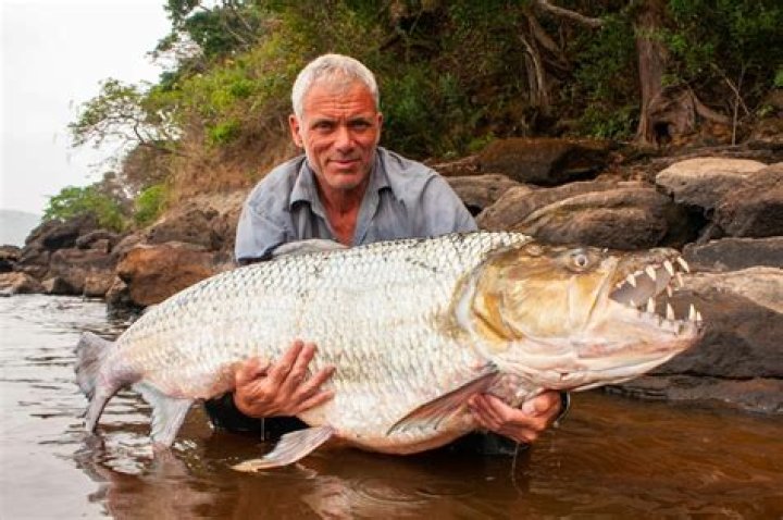 Jeremy Wade The Fisherman & Adventurer's Fortune Digital Global Times