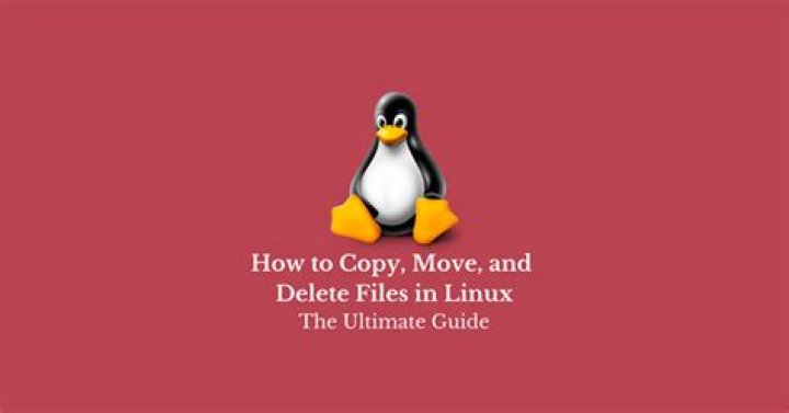 [Linux basic] Copy, delete, and move commands for Linux files