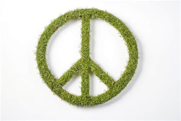 &lsquo;I had made peace with dying, but the thought of being crippled was