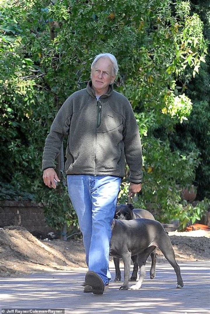 Mark Harmon spotted walking his dog for the first time since leaving