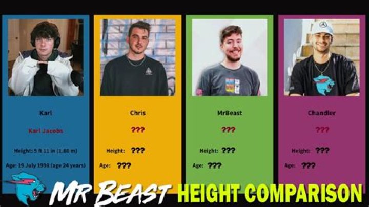 MrBeast's Height Unraveled For The Curious