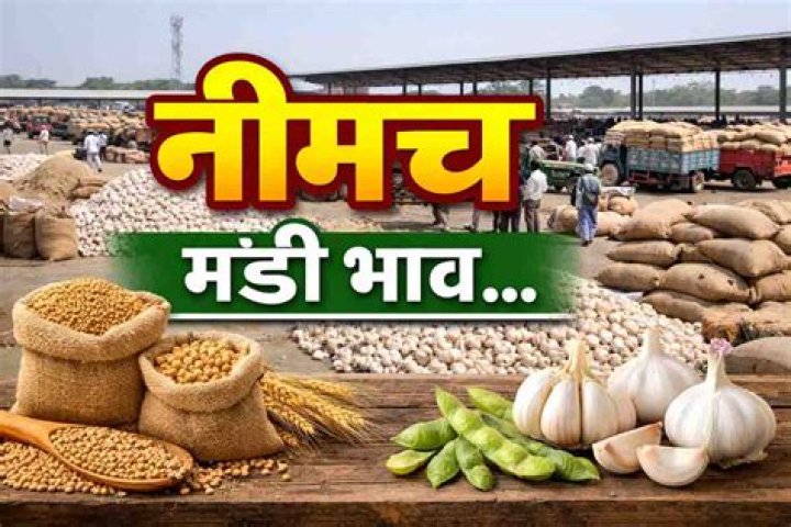 Neemuch Mandi Neemuch mandi