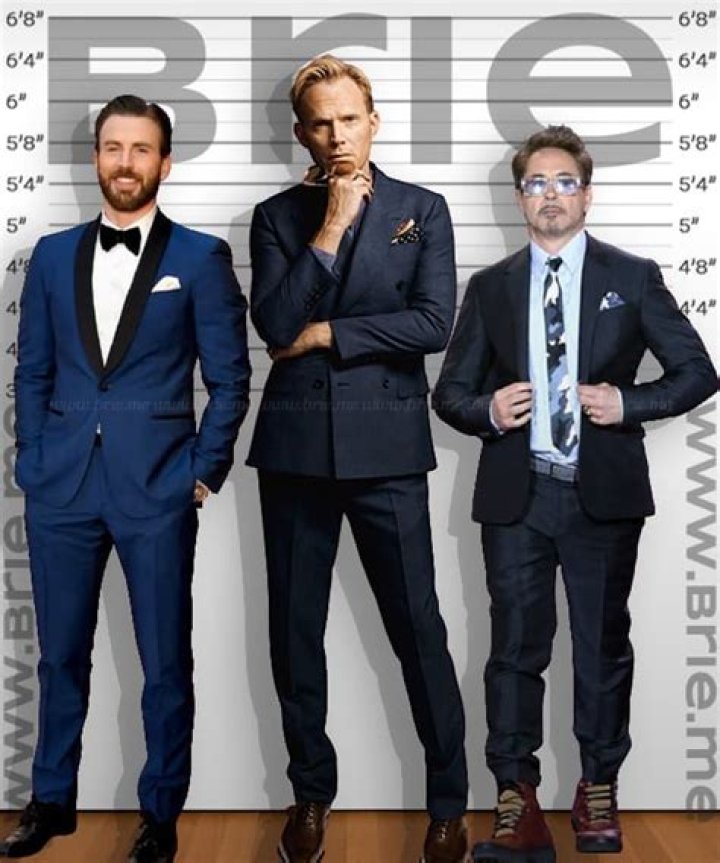 Paul Bettany's Towering Height: A Detailed Analysis