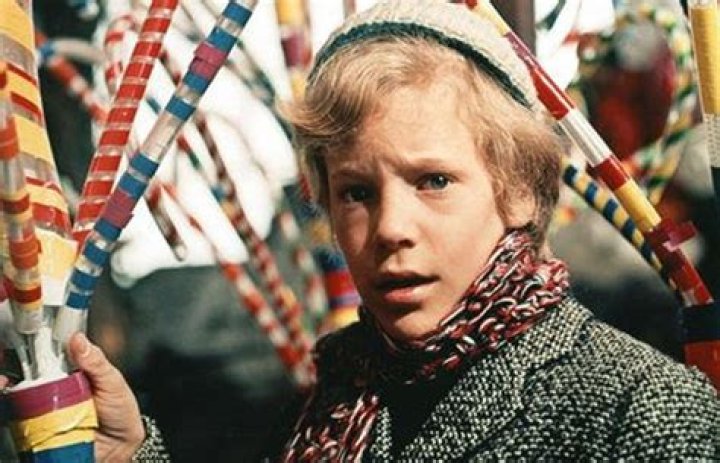 Peter Ostrum: The Willy Wonka Star Who Became A Vet