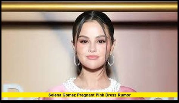 Selena Gomez Pregnant With Zedd's Baby Still In Love With Justin