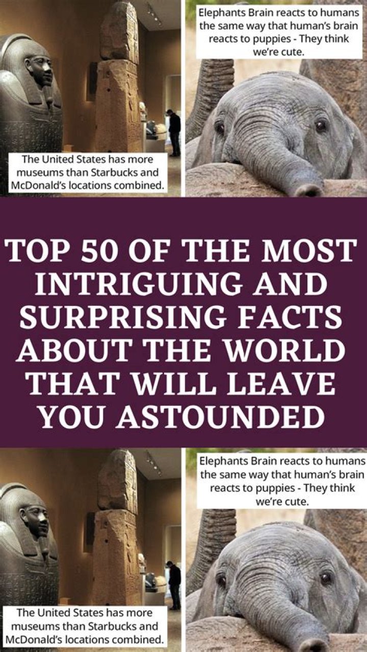 Surprising Facts And Intriguing Details