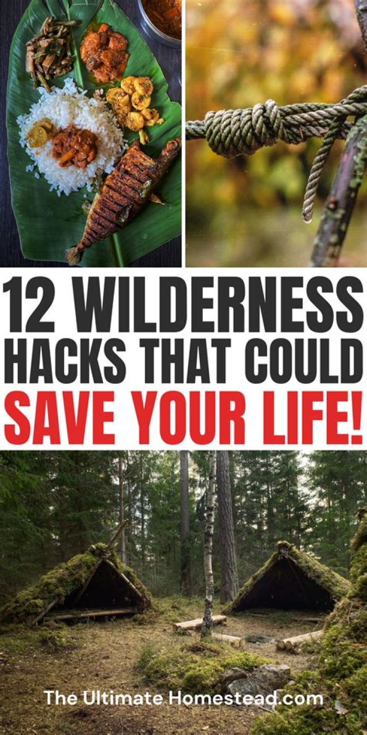 Survival Skills Life Hacks, Wilderness Survival Skills, Survival Mode