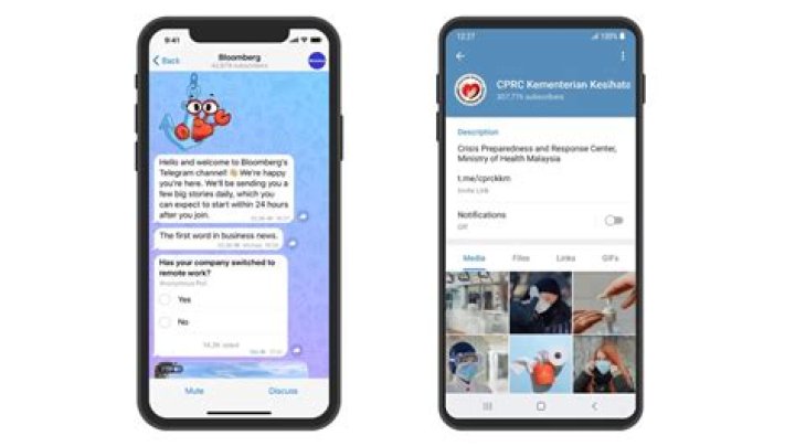 Telegram channel "Hacked ip cams" &mdash; hackedipcams &mdash; TGStat