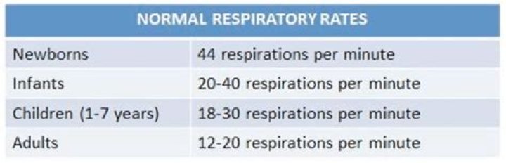 The Essential Guide To Normal Infant Respiratory Rate: A Comprehensive Overview