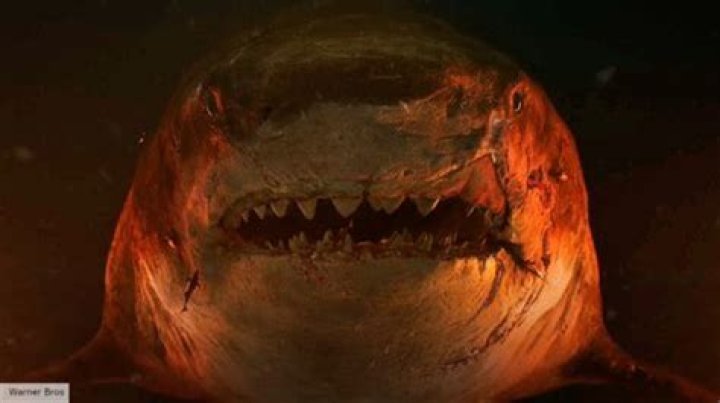 The Fate Of The Mother In 