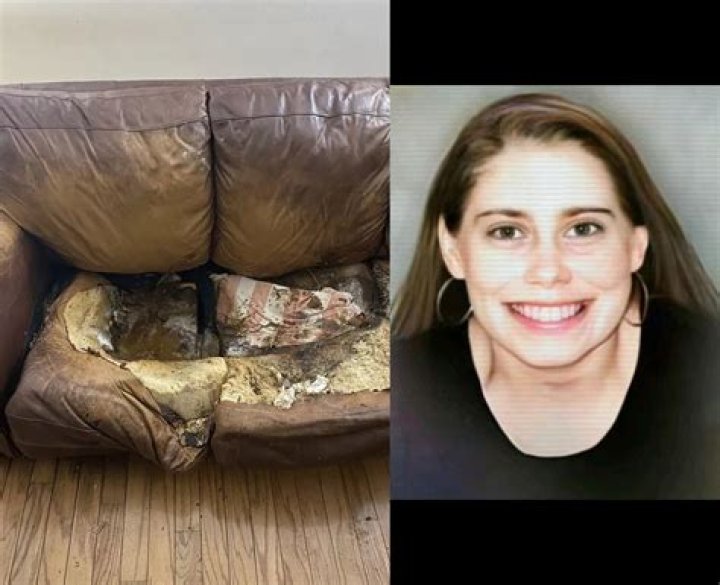 The "lacey Fletcher Sofa" Unveiled