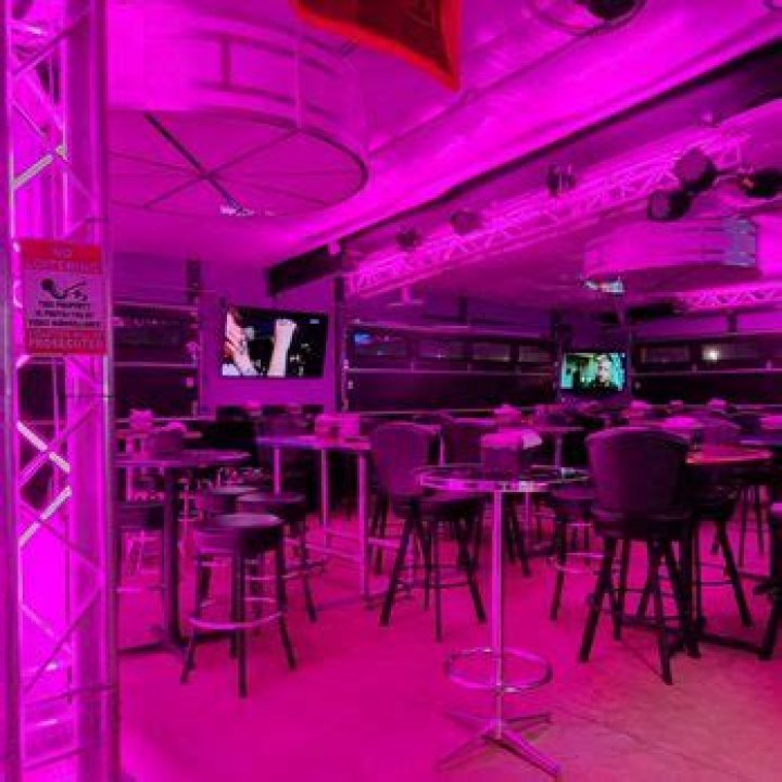 The Minx Show Palace Photos
