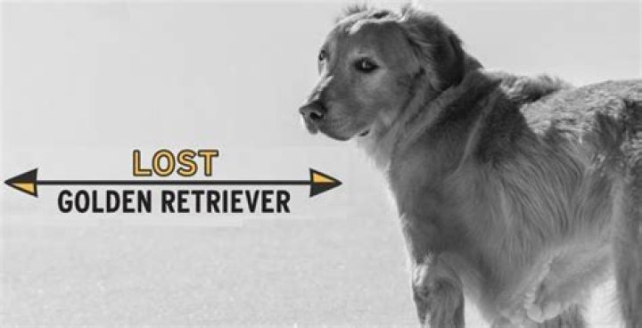 The retriever of the lost rings gets a reward! Emma Watson&rsquo;s heartfelt