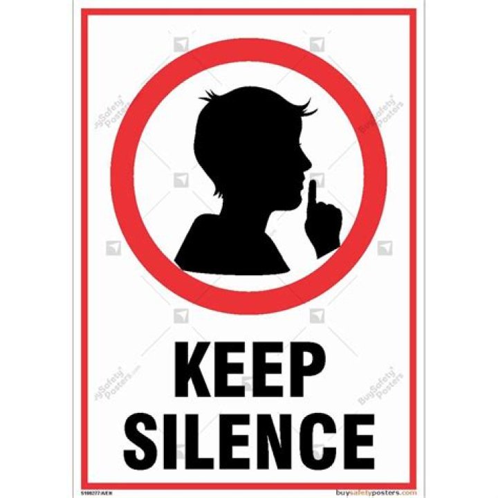 The Signs in the Silence (2011)